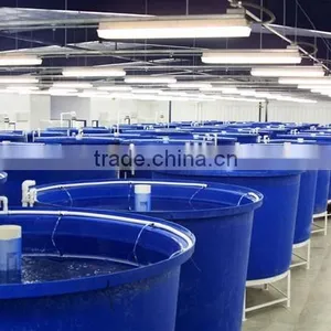 Water Tanks Supplier/hatchery Tanks/fiberglass Fish Tanks for Sale thumbnail-1