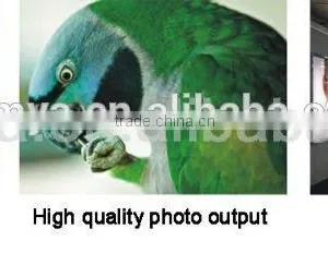 Wider Color Gamut Pigment Ink for Epson Stylus Pro 9710 thumbnail-2