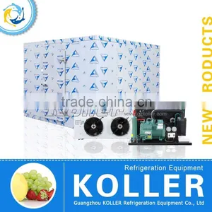 2016 Hot Sale 60CBM Cold Freezer Storage Room VCR60 With Compressor From China Supplier Koller thumbnail-1