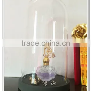 33*18 26*15 20*14 6*8cm Curios- Decorative Art Bell Jar | Vintage Style Bottle Charm Mini Glass Dome With Wood Base Terrarium thumbnail-6