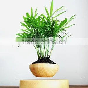 2016 Hovering Plant Pots,levitation Pots, Floating Air Bonsai thumbnail-3