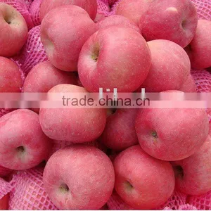 Fuji Apple for India Market thumbnail-1