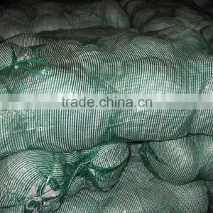 Round Cabbage/Flat Cabbage thumbnail-2