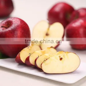 2016 New Crop New Season Huaniu Apple Fresh Apple China Gansu Tianshui Huaniu Apple thumbnail-1