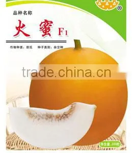 Super Sweetness Hybrid Yellow Sweet Melon Seeds For Cultivation-Hot Honey F1 thumbnail-1