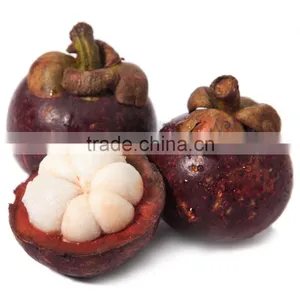 High Quality Kosher Certified HPLC 10%-98% Mangosteen Extract Supplier thumbnail-5