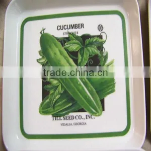 Paper Inserted Customized Acrylic Trays Wholesale thumbnail-2