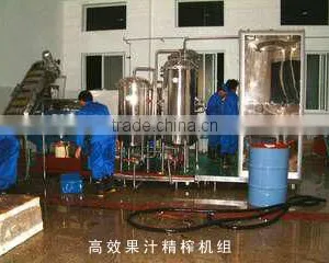 Fresh Fruit Juice Production Line thumbnail-2