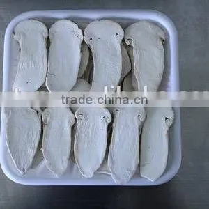 Matsutake Slice Freeze Dried thumbnail-4