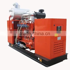 Camda Good Quality Biogas Generator With CE Certificate thumbnail-1
