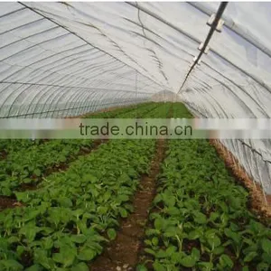Solar Greenhouse Mesh thumbnail-1