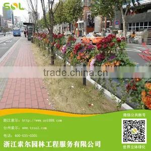 SOL 2015 Factory Price pp Material Green Planter thumbnail-1