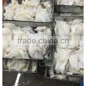 Frozen Giant Peru Fillet Squid Neck Size 500+ on Sale thumbnail-2