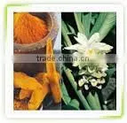 Curcuma Longa Extract thumbnail-1
