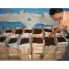 India Vermi Compost thumbnail-1