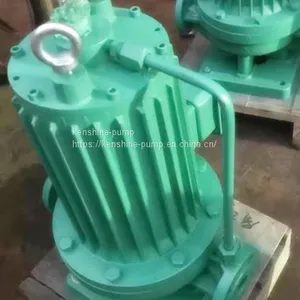 PBG Screeded Pipeline Centrifugal Pump thumbnail-2