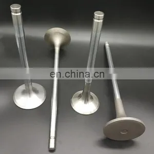Austematic Steel Inlet and Exhaust Engine Valve For Volvo TAD520GE TAD740GE TAD720GE TAD941GE TAD1241GE thumbnail-2