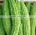Memordica Charantia L. Extract thumbnail-1