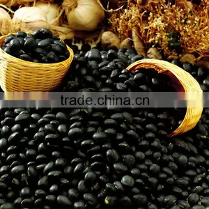 Black Kidney Beans thumbnail-1