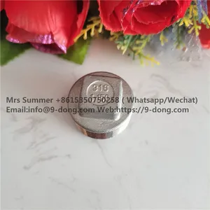 DN25 Stainless Steel Pipe Square Plug 1
