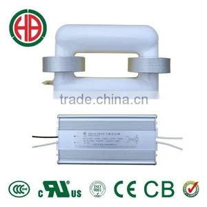 HB 40w 50w 60w 80w 100w S Induction Lamp 12v 24v Solar Lamp thumbnail-1