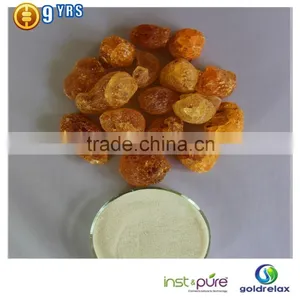 The Chinese Arabic Gum Factory With Acacia Gum thumbnail-2