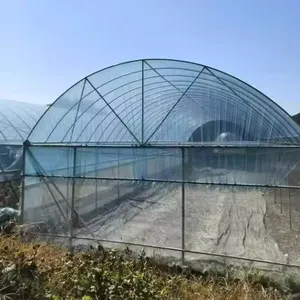 4MIL Agriculture Plastic Greenhouse PE PO Film Clear Greenhouse Cover thumbnail-4