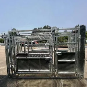 Heavy Duty Galvanized Cattle Squeeze Chute Livestock Cow Crush With Scales Factories' Farm Equipment Fencing Trellis & Gates thumbnail-6