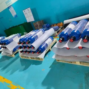 Factory Direct Sales of European Standard Energy Storage Device Sd330 - 10a1 Hydac Accumulator, Capsule, Airbag, Nitrogen Tank thumbnail-4