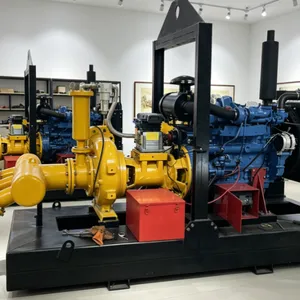 Strong Self-priming Pump thumbnail-1