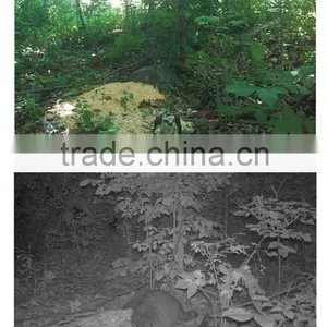 2016 NEW Trail Hunting Camera With IP54 Water-resistant thumbnail-6