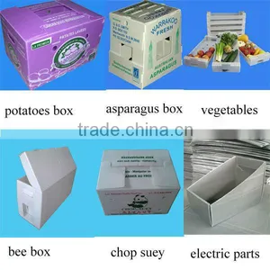 2013 Hot Sale Food Grade PP Plastic Containers Made of pp Corrugated Sheet thumbnail-1