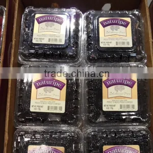 Blackberry Packaging Box thumbnail-1