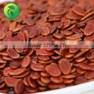 Water Melon Hybride China Supplier thumbnail-1
