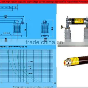 XRNP1 Series With High Rupture Capacity , High Voltage Current-limiting Fuse Used for Transformer Protection thumbnail-4
