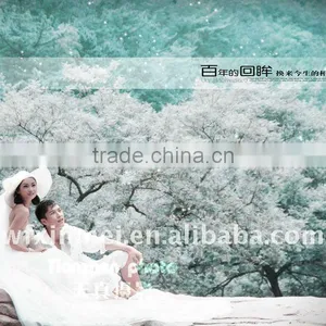 Waterproof 410gsm Cotton and Poly Blend Cotton Canvas for Modern Woman Oil Painting thumbnail-3