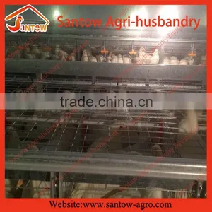 Stable Steel Structure Professional Chicken Egg Layer Cage Chicken Egg Layer House Design thumbnail-2