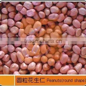 Competitive Quality Good Performance Groundnut Shelling Sieving Processing Line thumbnail-6