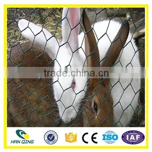 Used Chicken Wire Mesh for Chicken Cage thumbnail-1