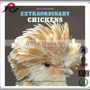 Extrordinary Chickens Double Month Printing Islamic Calendars thumbnail-2