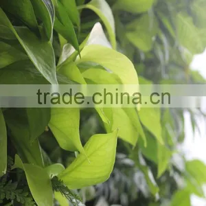 Plant Wall, Vertical Garden Green Wall Plastic Plants Walls Indoor and Outddor Use Quality Choice thumbnail-4