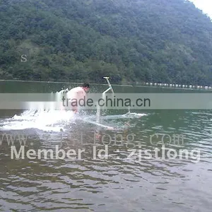 Water Bird, Water Bird Price, Water Bird for Sale thumbnail-3