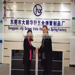 Dongguan City Dalang Vista Hardware Spring Factory company overview - view 2 thumbnail