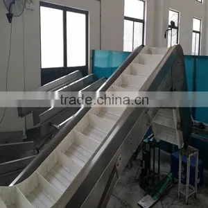 Cleaning Modular Belt Conveyor thumbnail-1