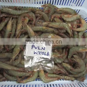FROZEN HOSO POOVALAN SHRIMPS thumbnail-1