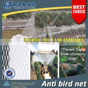 (20 Years Shanghai Factory) Hot Selling , New Arrival, Horticulture HDPE Knotted Mesh Bird Net Black Colour , 29 GSM / 20101-29 thumbnail-1