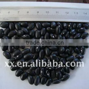 New Crop Black Kidney Beans Market Price thumbnail-1