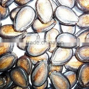 2015new Black Watermelon With Top Quality and Best Price thumbnail-1