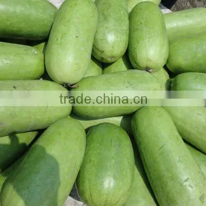 Fresh Vegetables thumbnail-1