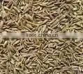Cummin Seeds thumbnail-1